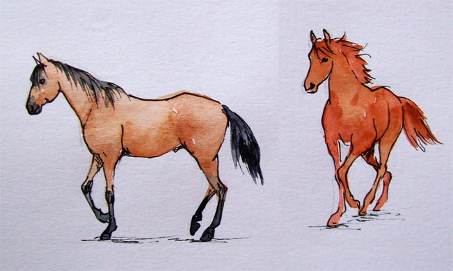 Coloração de Cavalos Online em COQUINHOS